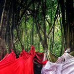 flavien-fischer-tours-excursions-tour-del-ile-nosybe-004