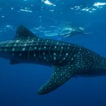 flavien-fischer-tours-excursions-tour-operateur-guide-photos-008