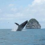 flavien-fischer-tours-excursions-tour-operateur-guide-photos-029