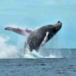 flavien-fischer-tours-excursions-tour-operateur-guide-photos-030