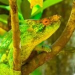 flavien-fischer-tour-operateur-guide-4