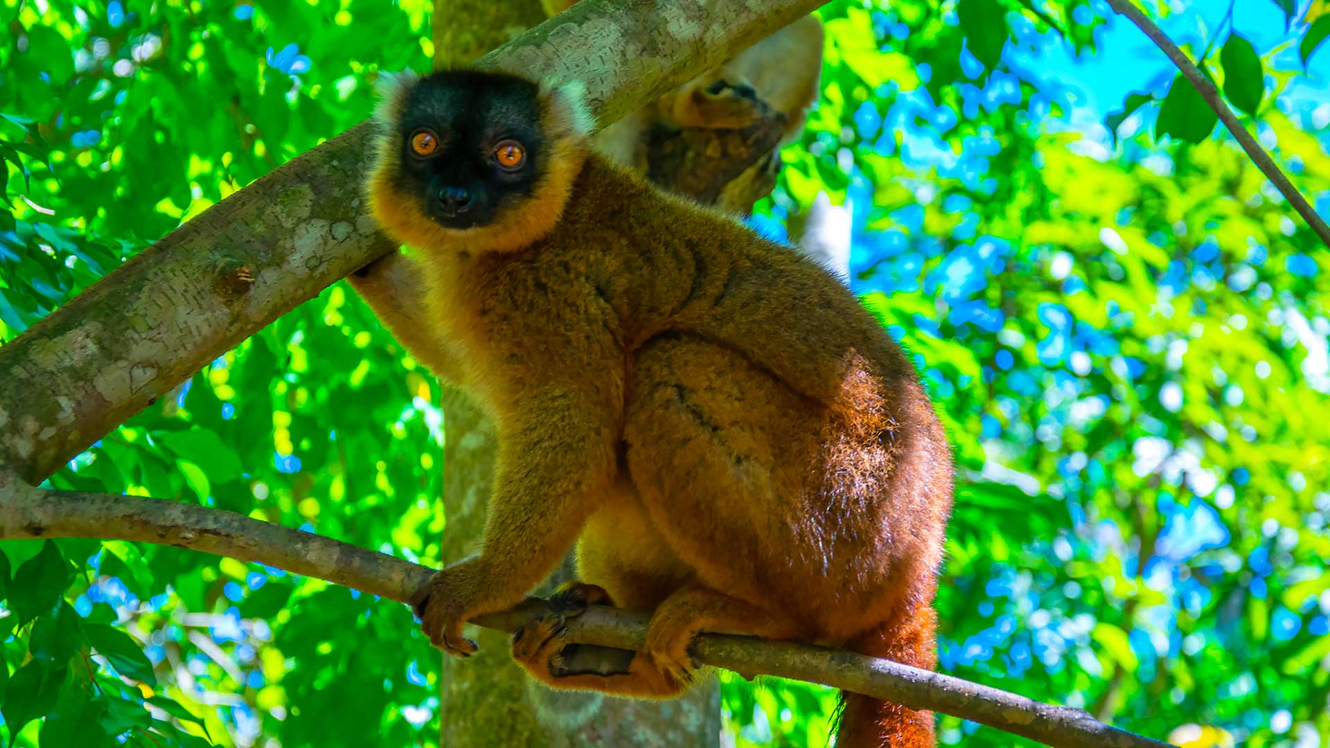 flavien-fischer-tour-operateur-guide-6