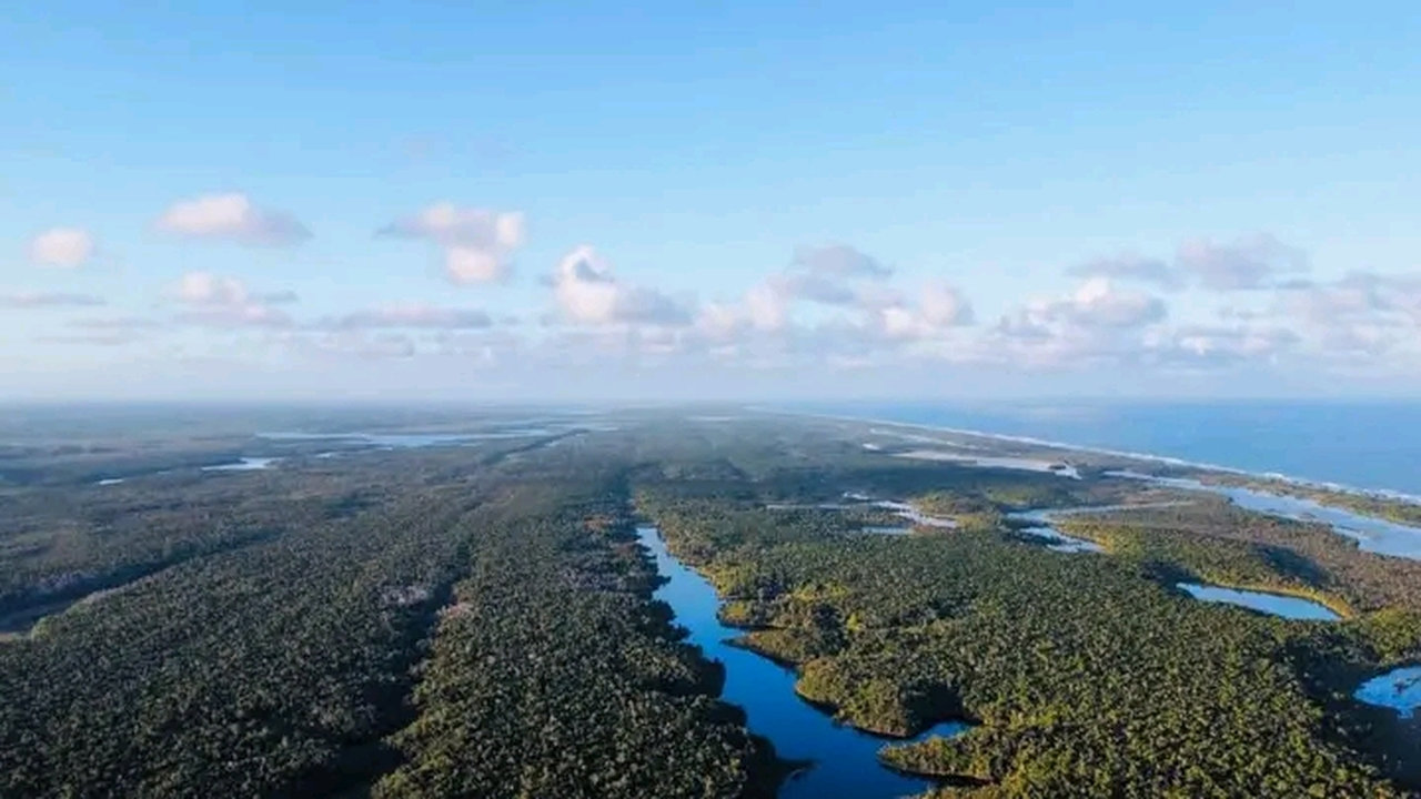 flavien-fischer-tours-excursions-foret-de-vohibola-001